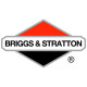 Двигатели Briggs-Stratton в Белгороде